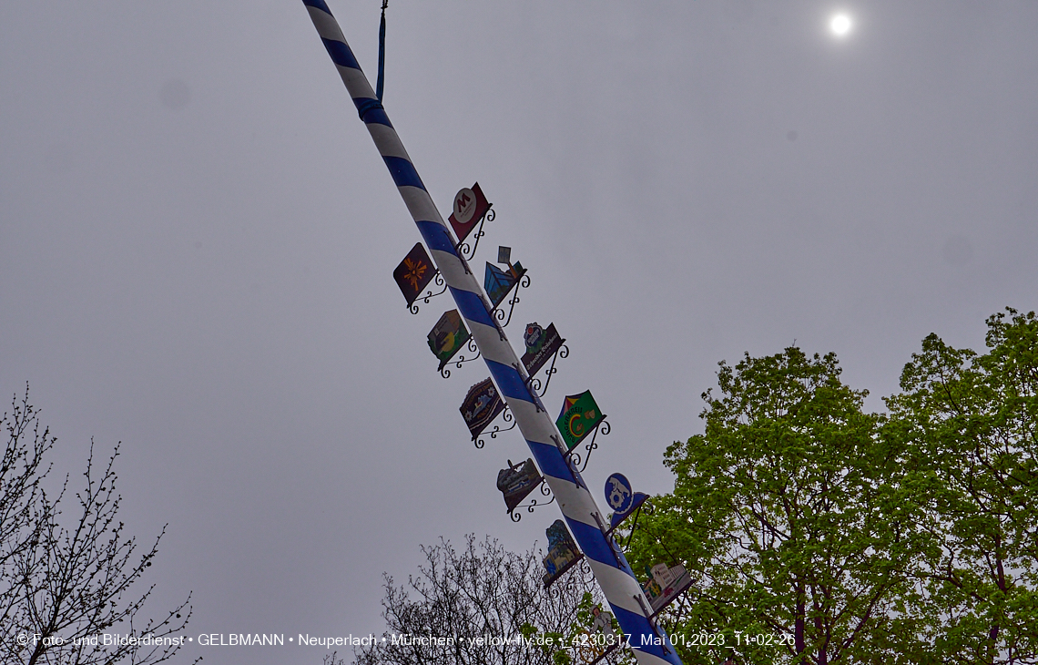 01.05.2023 - Maibaumaufstellung in Berg am Laim